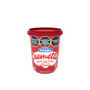 QUESO CREMA CREMETTE **TONADITA** 480CC